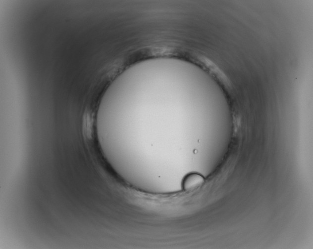 X0000111890026200908061343