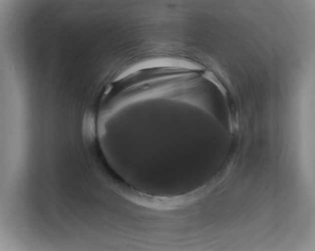 X0000111890027200908061343