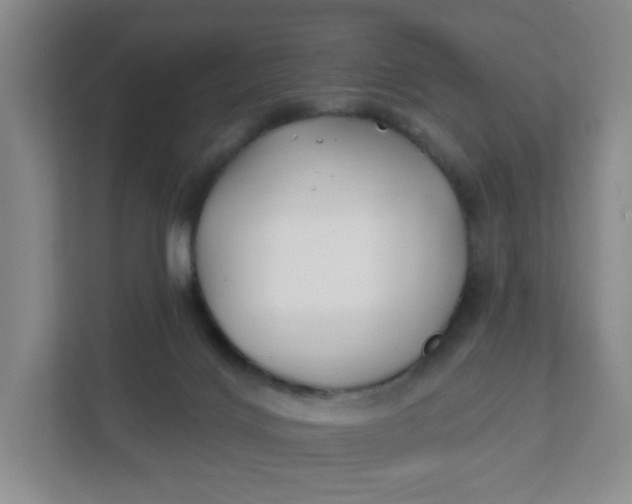 X0000111890028200908061343