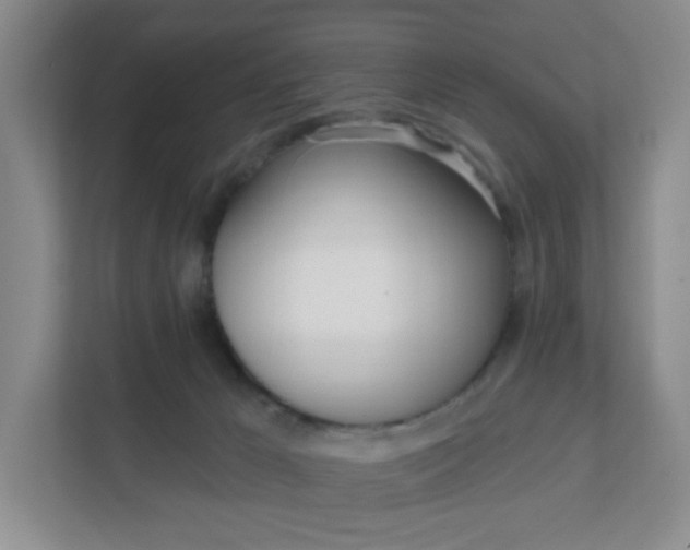 X0000111890029200908061343