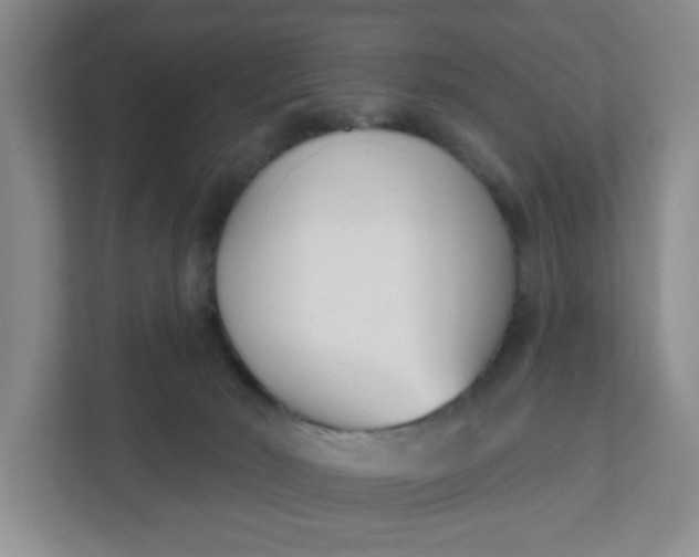 X0000111890030200908061343