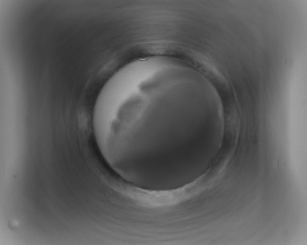 X0000111890031200908061343