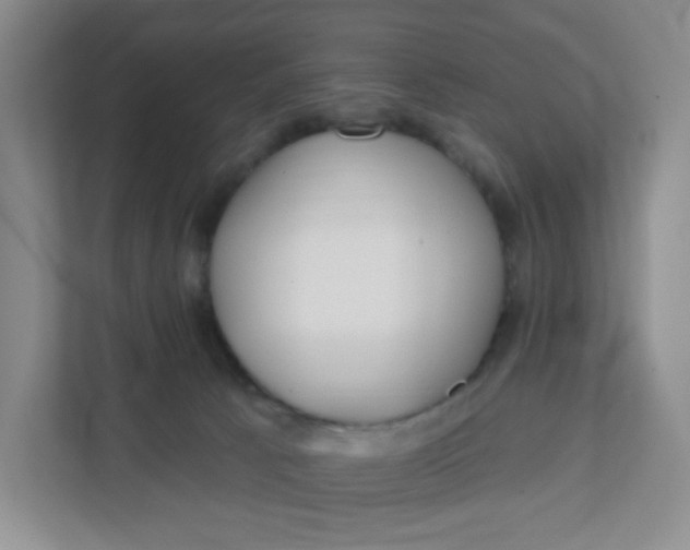 X0000111890033200908061343