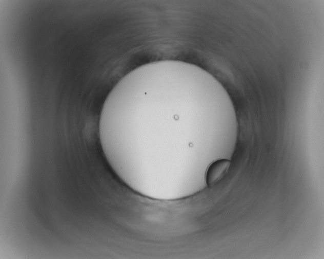 X0000111890034200908061343