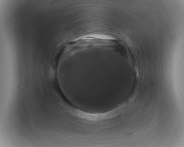 X0000111890039200908061343