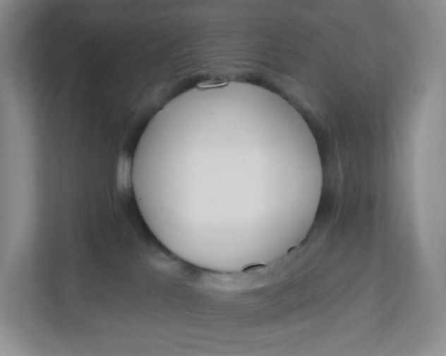 X0000111890041200908061343