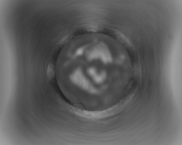 X0000111890043200908061343