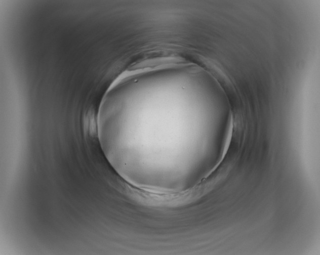 X0000111890046200908061342