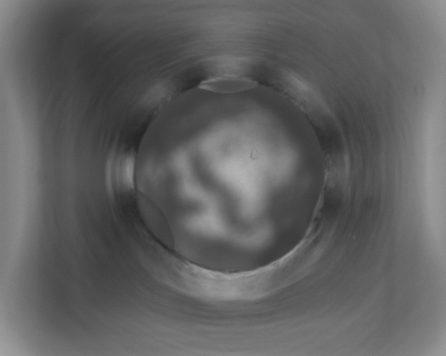 X0000111890047200908061342