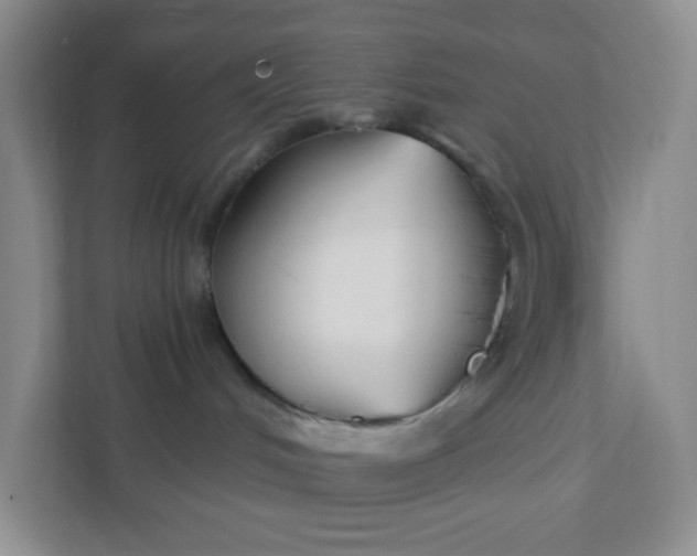 X0000111890048200908061342