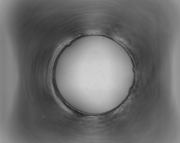 X0000111890049200908061342