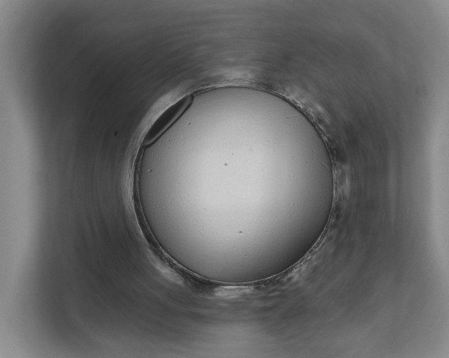 X0000111890051200908061342