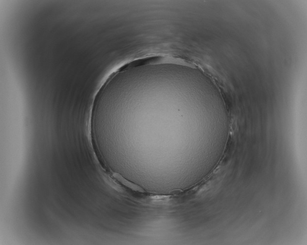 X0000111890052200908061342