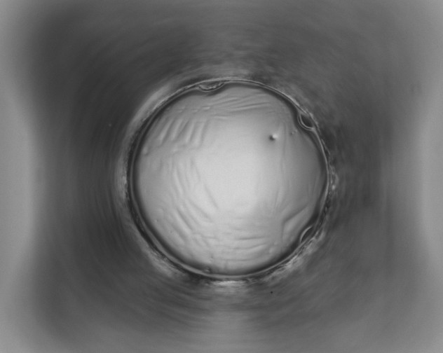 X0000111890053200908061342