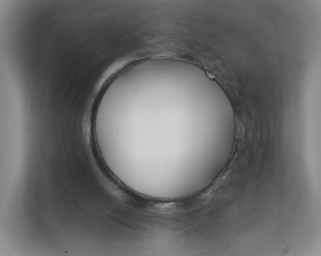 X0000111890054200908061342