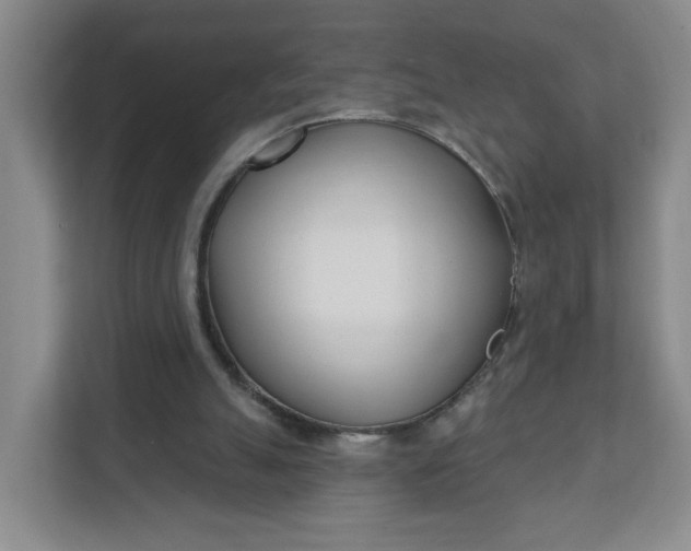 X0000111890055200908061342