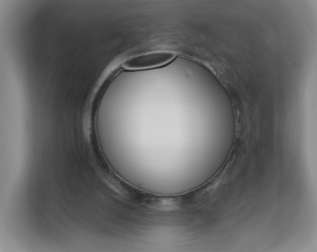 X0000111890056200908061342