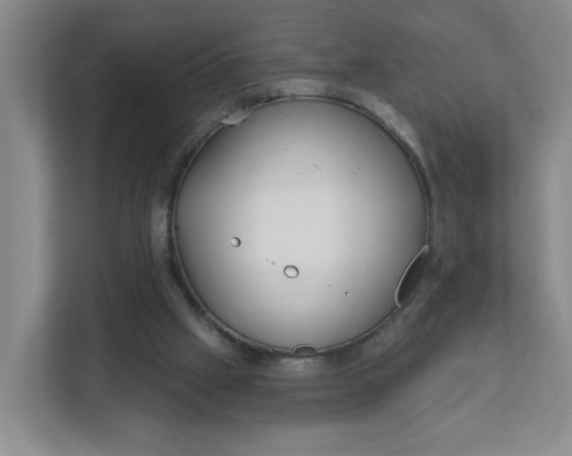 X0000111890057200908061342