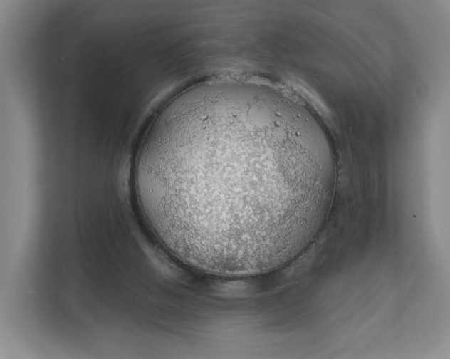 X0000111890058200908061342