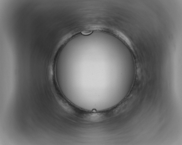 X0000111890059200908061342