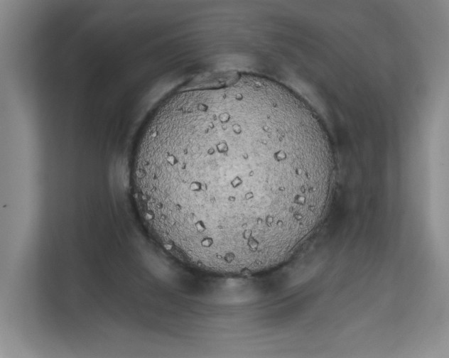 X0000111890060200908061342