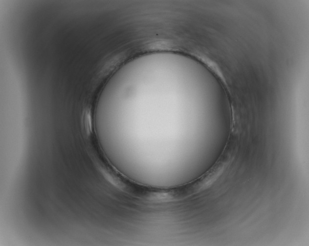 X0000111890061200908061342