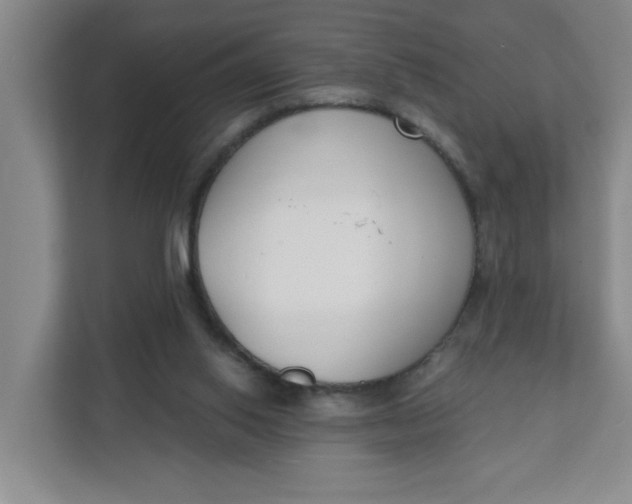 X0000111890062200908061342