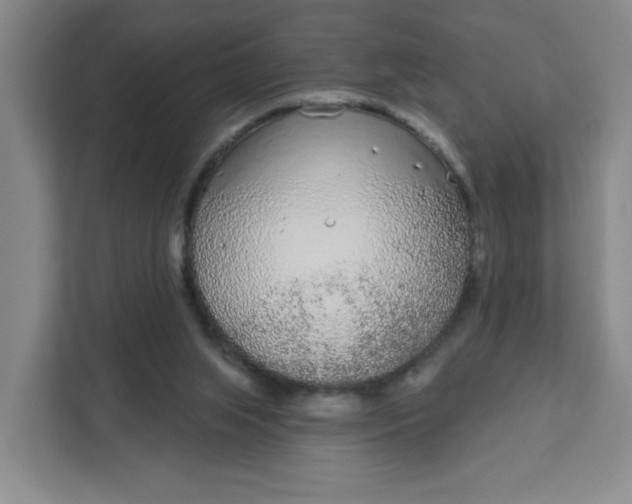 X0000111890063200908061342