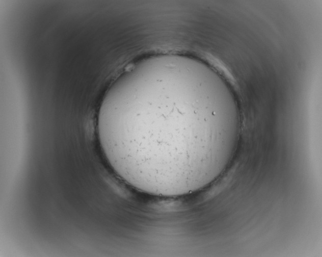 X0000111890065200908061342