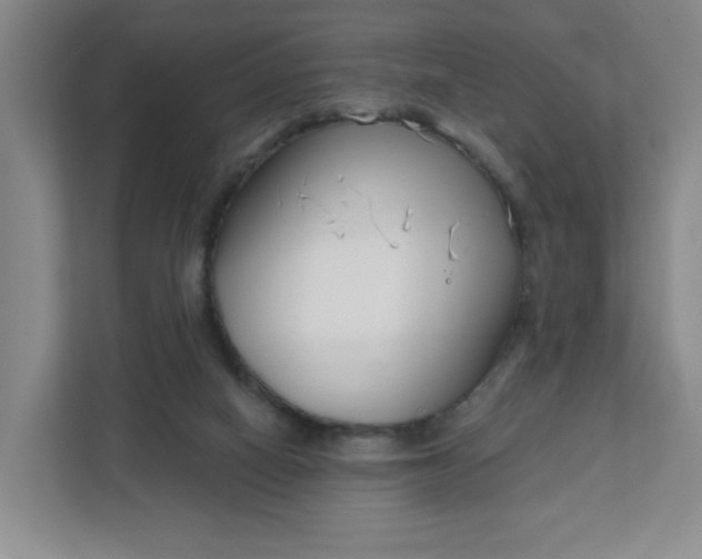 X0000111890066200908061342