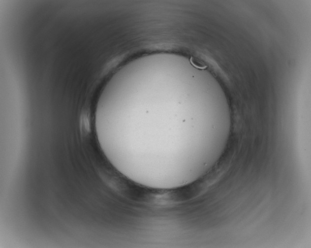 X0000111890068200908061342