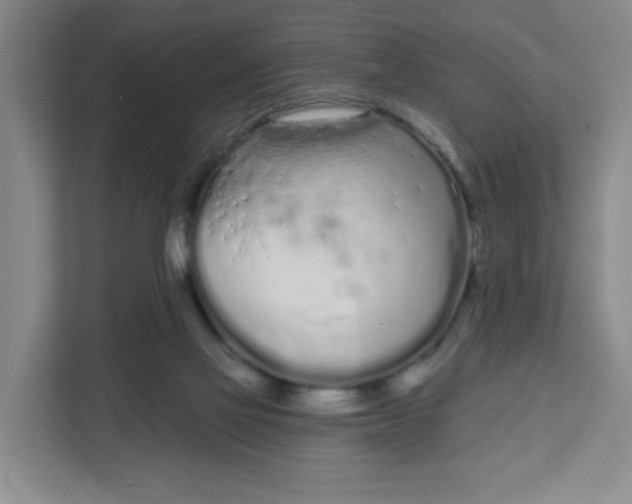 X0000111890069200908061342