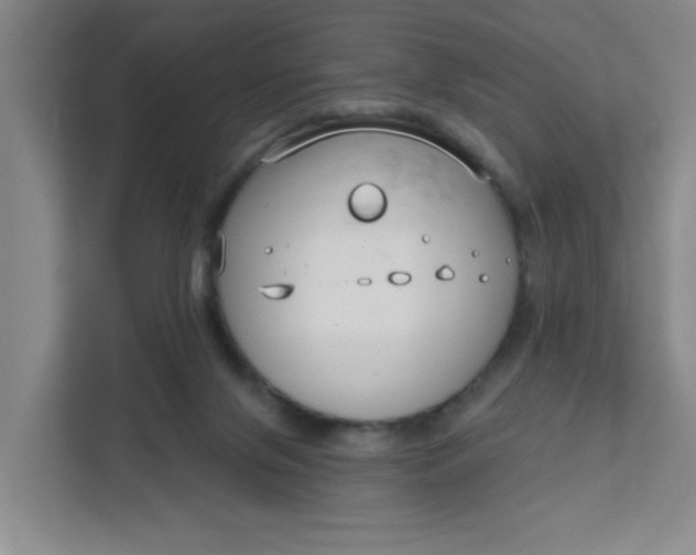 X0000111890071200908061342