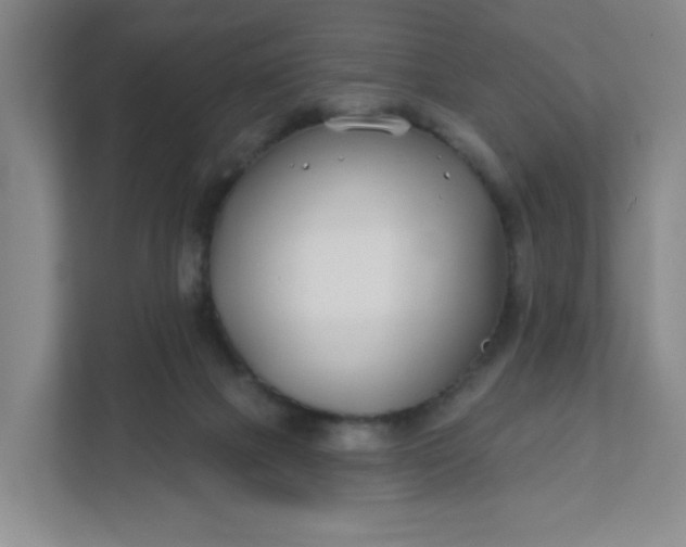 X0000111890073200908061342