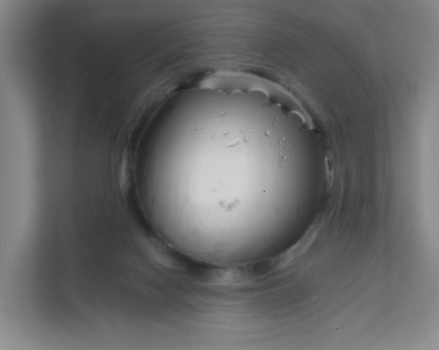 X0000111890074200908061342