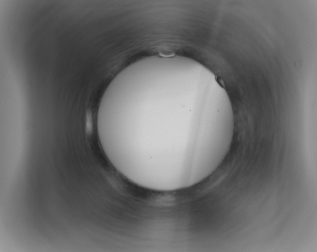 X0000111890075200908061342