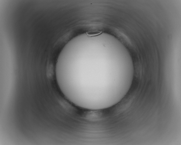 X0000111890077200908061342