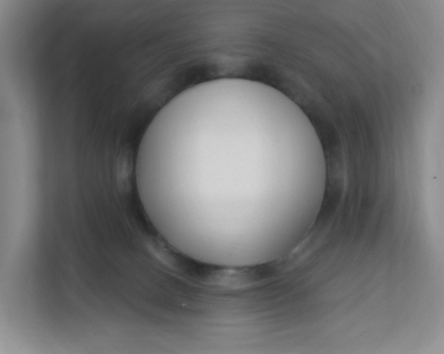 X0000111890082200908061342