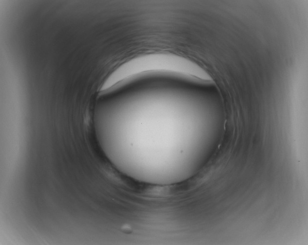 X0000111890084200908061342