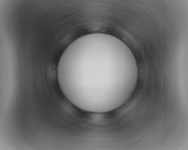 X0000111890085200908061342