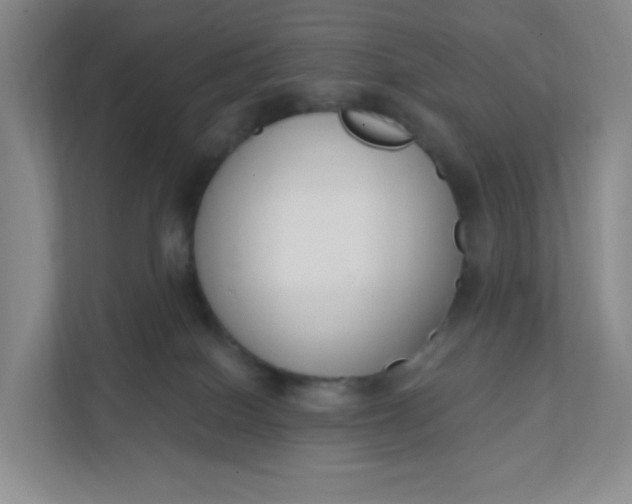 X0000111890086200908061342