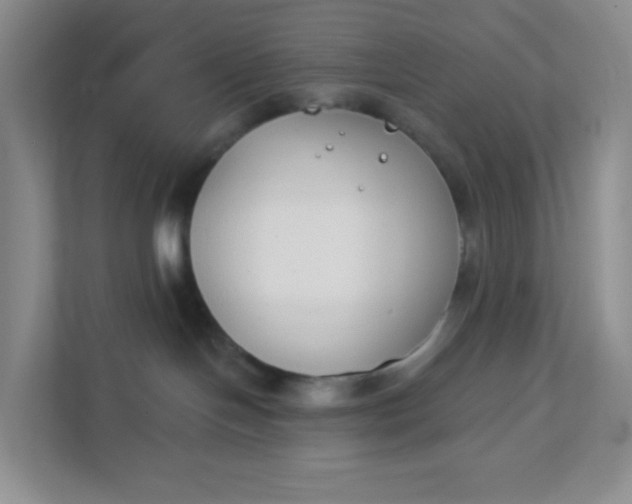 X0000111890094200908061342