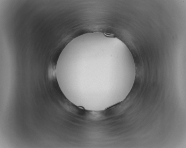 X0000111890095200908061342