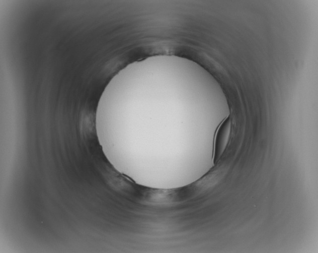 X0000111890096200908061342