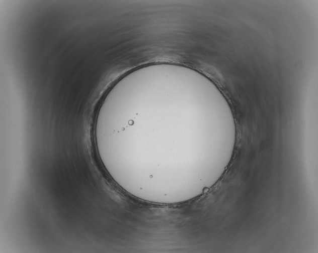 X0000111890098200908061342