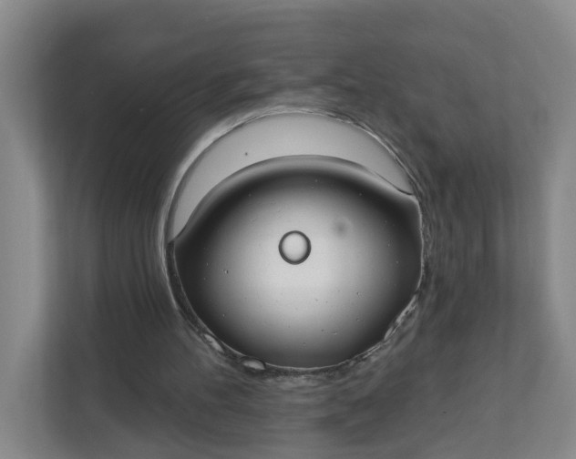 X0000111890100200908061342