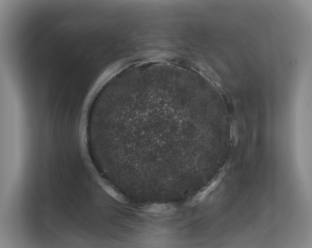 X0000111890101200908061342