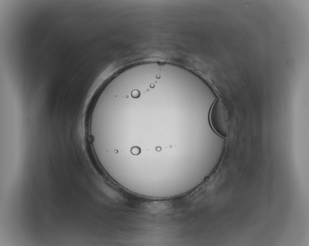 X0000111890102200908061342