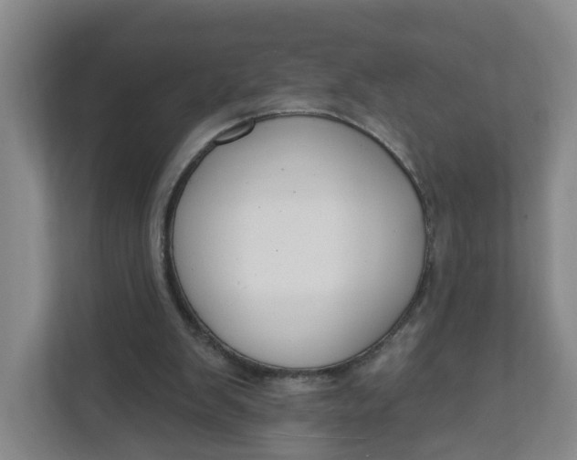 X0000111890103200908061342