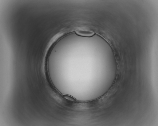 X0000111890104200908061342